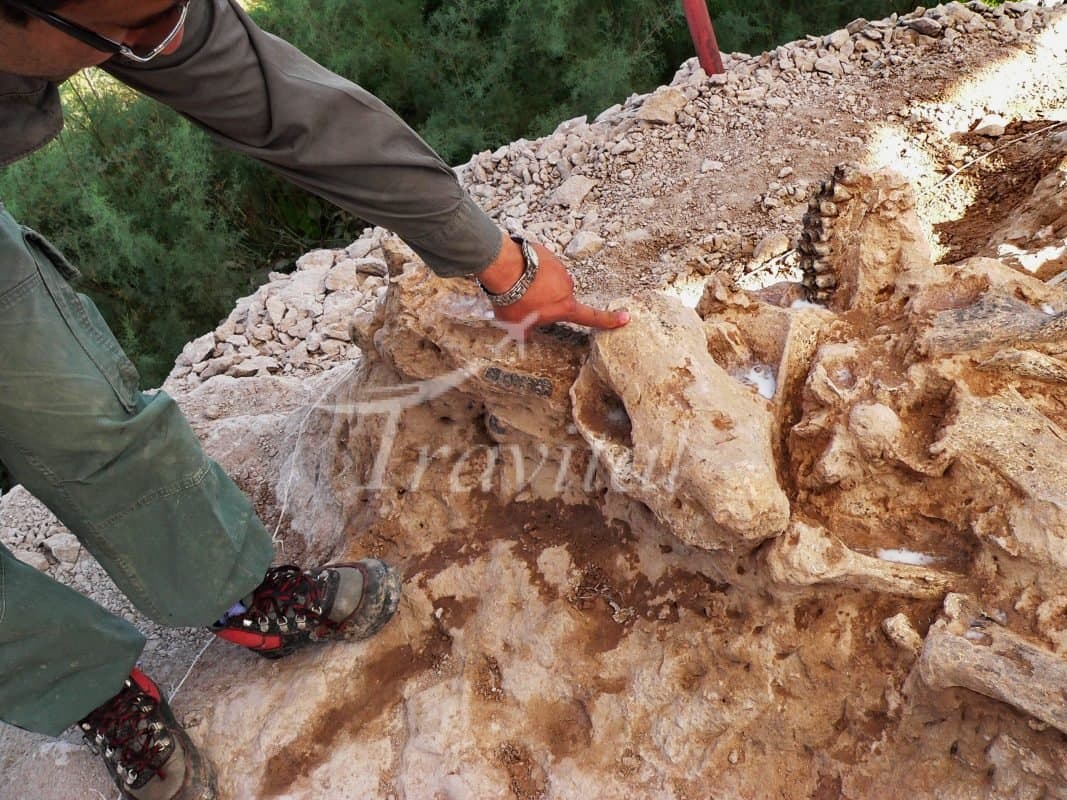 Fossil Site of Maraghe 