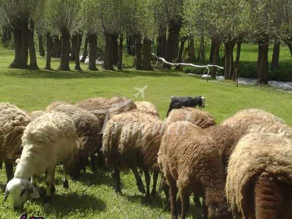 Lighvan Valley – Tabriz - view 2