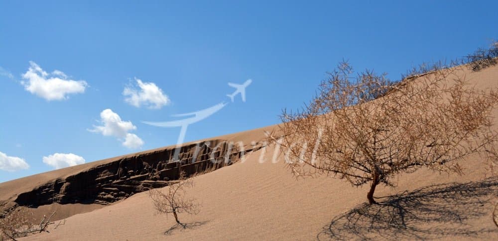 Qum Tapa (the Desert of Azerbaijan) – Tabriz - view 3