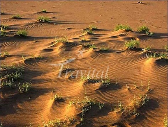 Qum Tapa (the Desert of Azerbaijan) – Tabriz - view 2