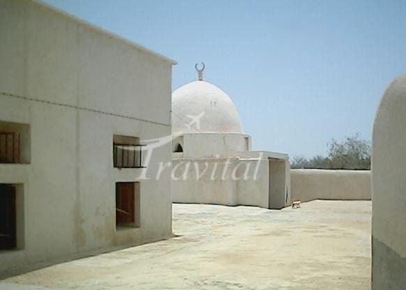Barkh Mosque 