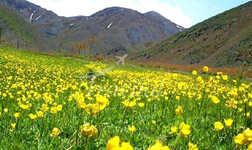 Aran Va Bidgol Village 