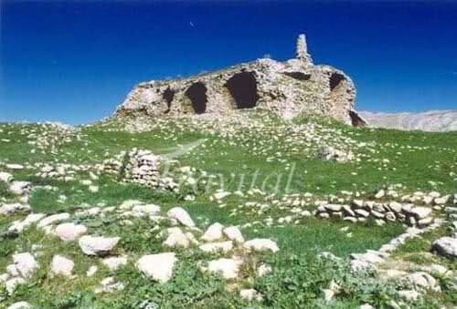 Ardeshir Palace 
