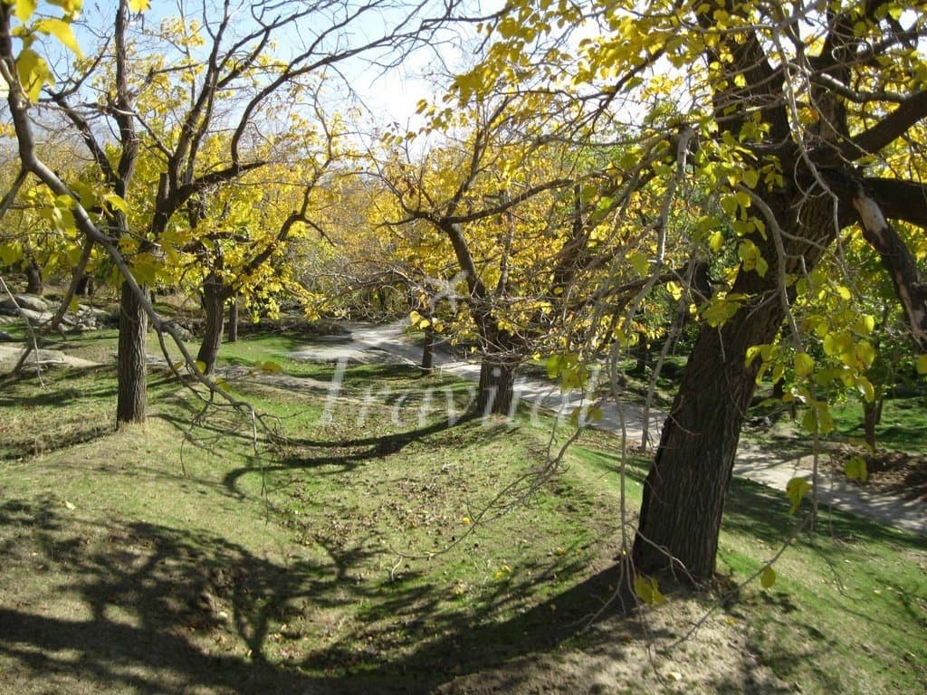 Artiman Village 