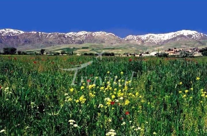 Baba Abbas Valley 