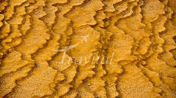 Badab Soort – Sari - view 2