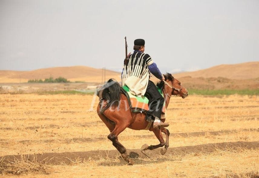 Bakhtiari Nomads 