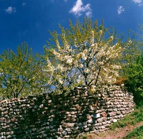 Baram Delak Recreation Site – Shiraz - view 2