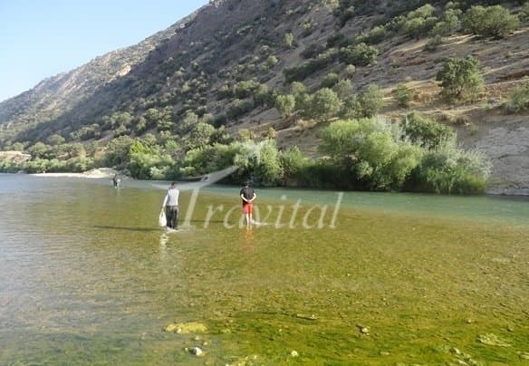 Beshar River 