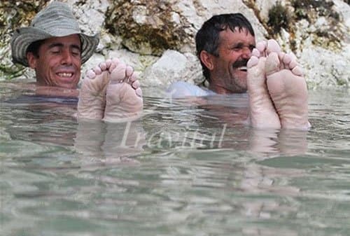 Bushly Spring 