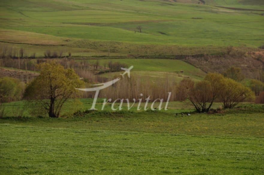 Dehgelan Plain 