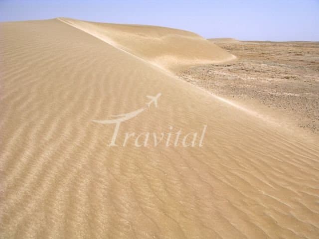 Desert Attractions 