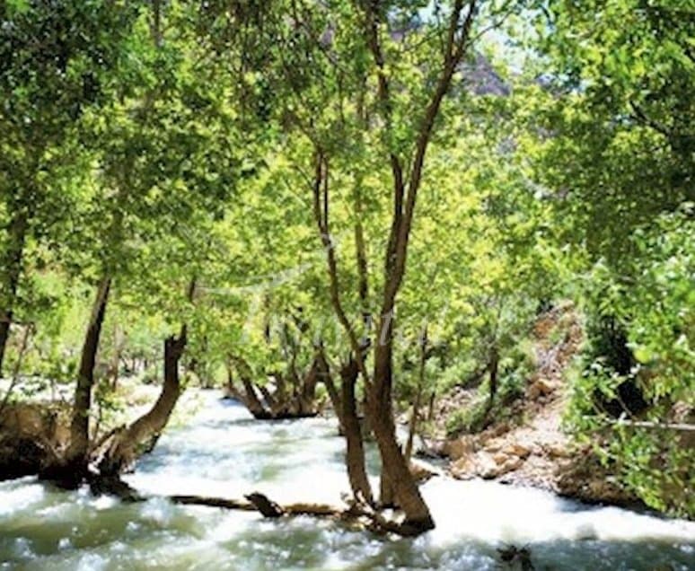 Ganjehie Gorge – Dehdasht (Kohgiluyeh) - view 2