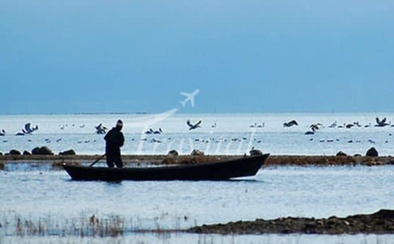 Gomishan Wetland 