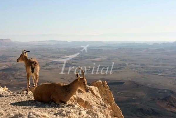Haftad Qoleh Protected Area 