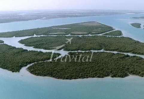Harra (Mangrove) protected area 