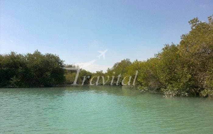 Harra (Mangrove) protected area – Qeshm - view 3