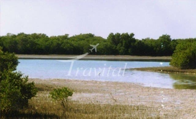 Helleh Wetland 