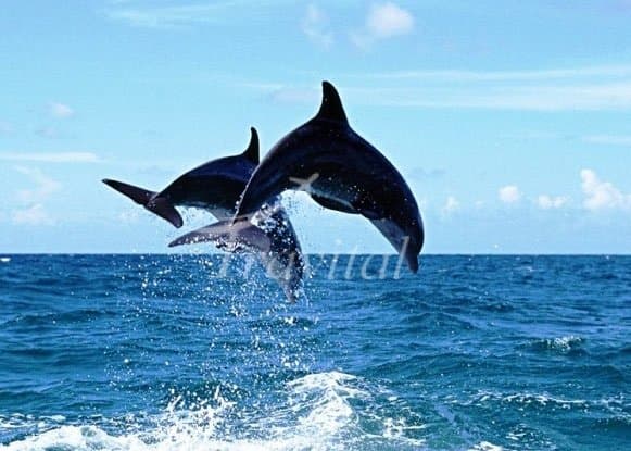 Hengam Island 