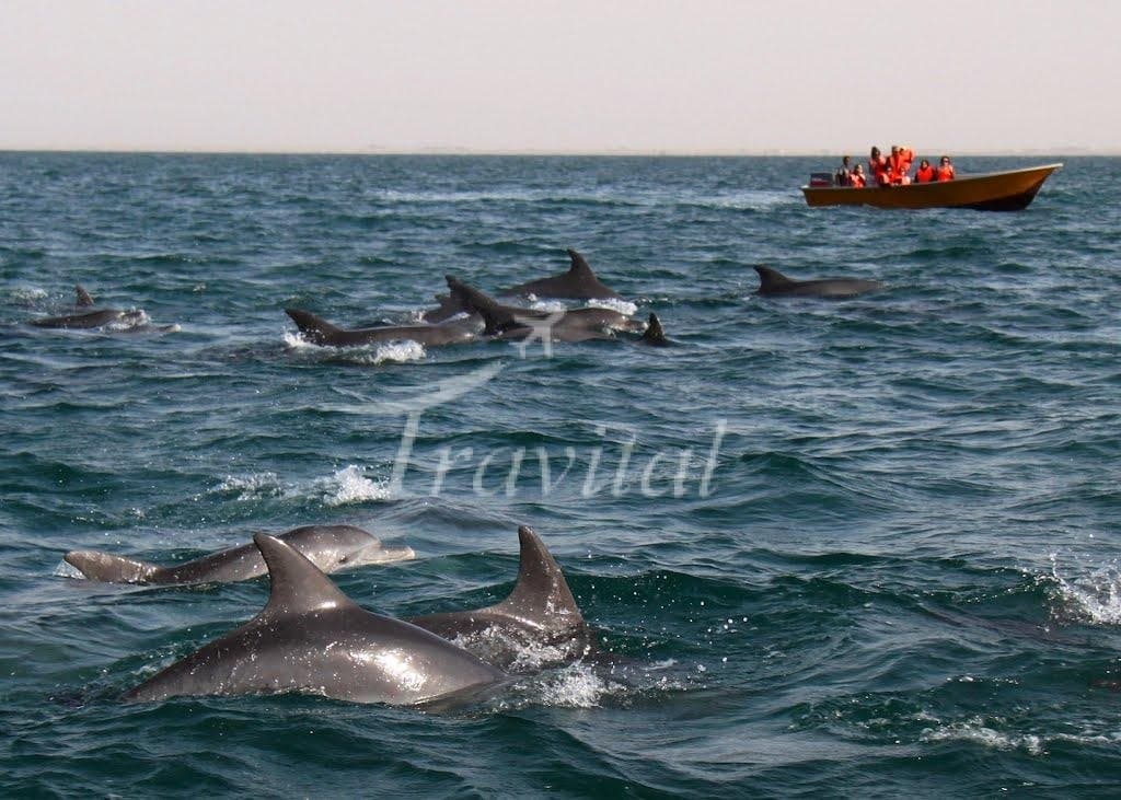 Hengam Island – Qeshm - view 2