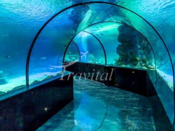 Isfahan Aquarium – Isfahan - view 2
