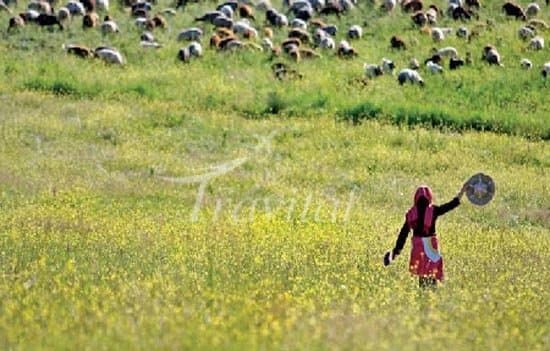 Jahan Nama Protected Zone 