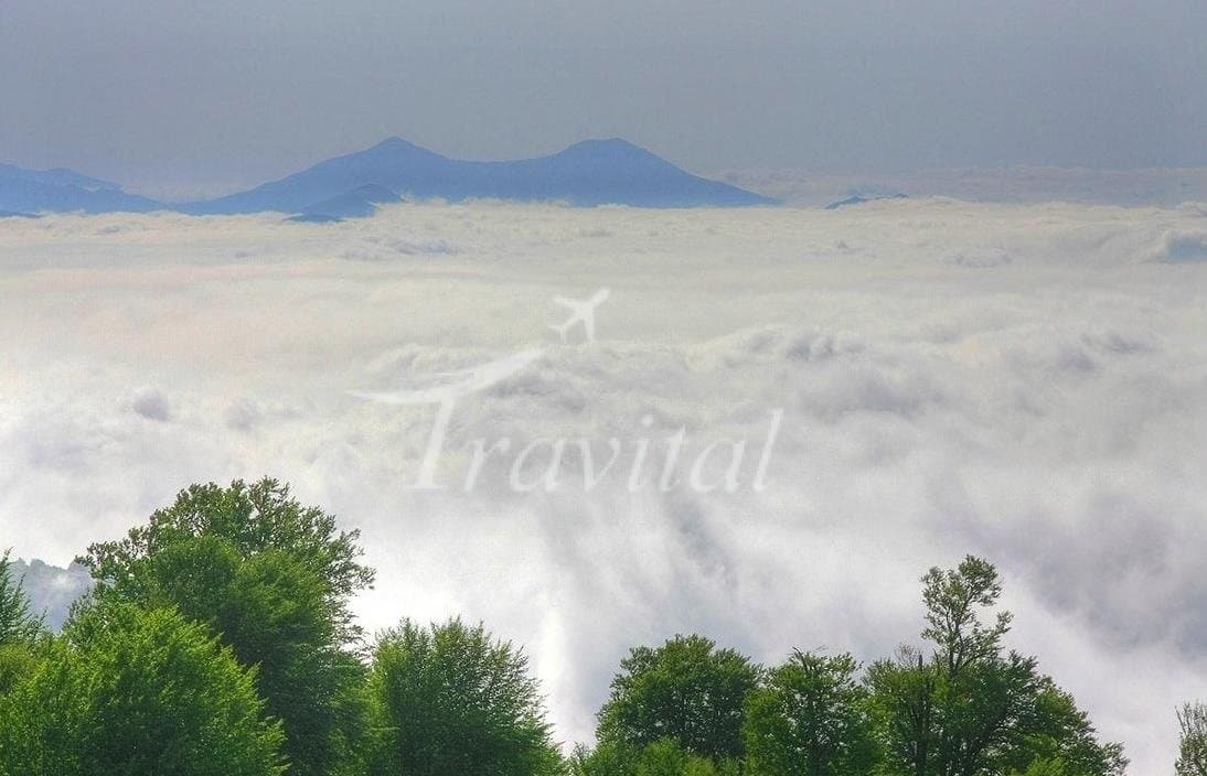 Jangale Abr (Cloud forest) – Shahrood - view 3