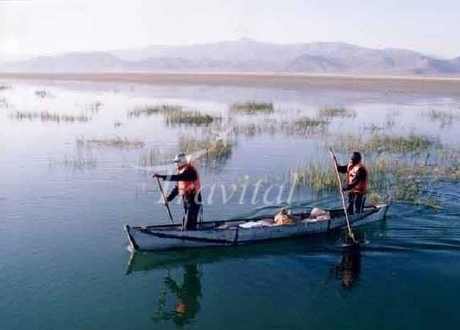 Kaftar Lake – Eqlid - view 3