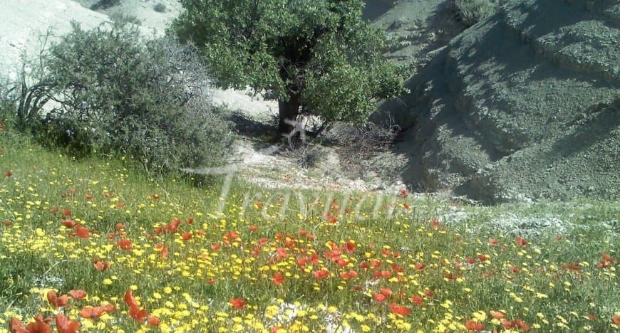 Kan-e-Gonbad Graveyard – Ilam - view 3
