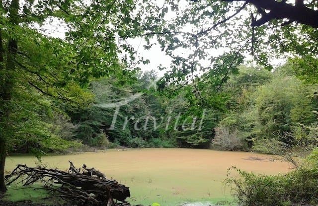 Kandochal Wetland – Chalus - view 1