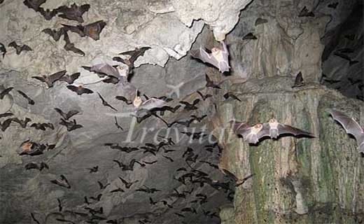Khofash Cave 