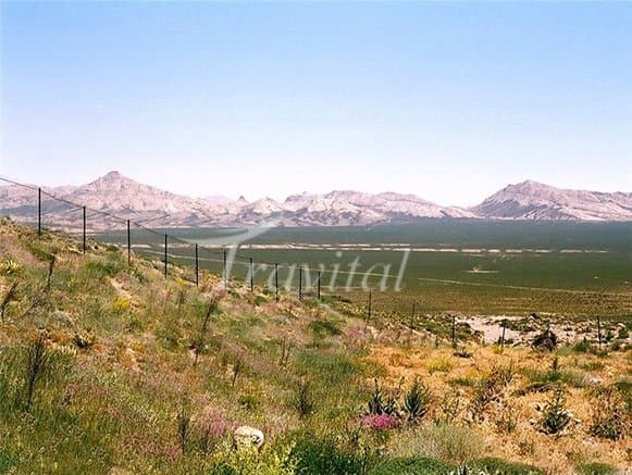 Khosh Yeylagh Wildelife Shelter – Shahrood - view 2