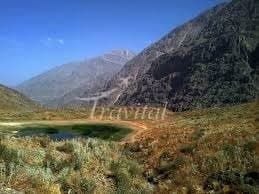 Kooh Gol Lake, Sisakht – Boyer Ahmad (Yasuj) - view 3