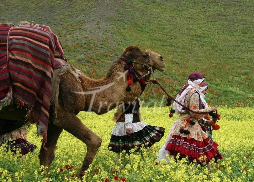 Kurmanji Nomads 