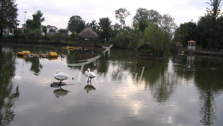 Lakan Salty Spring 