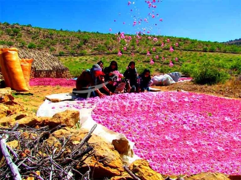 Lay Zangan Village – Darab