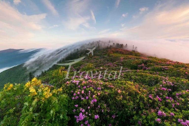 Lay Zangan Village – Darab - view 2