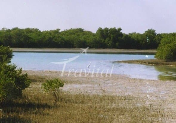 Dashti (Khormoj) - view 3