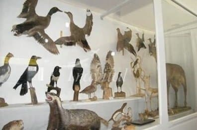Natural Science Museum 