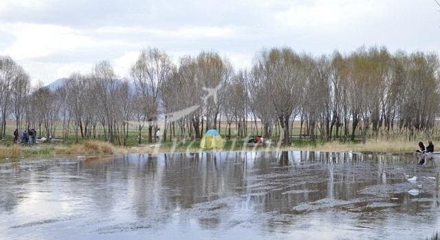 Panjali Spring – Arak - view 3