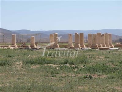 Pasargadae – Marvdasht - view 2