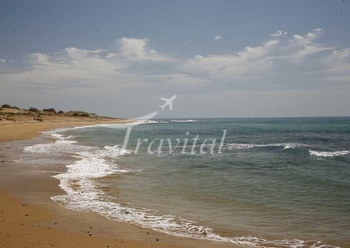 Persian Gulf Coast 