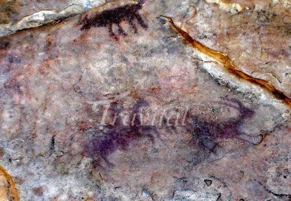 Petroglyphs of Mirmalas Cave – Koohdasht - view 2