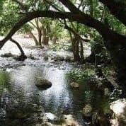 Qadamgah Mineral Water Spring – Eqlid - view 2