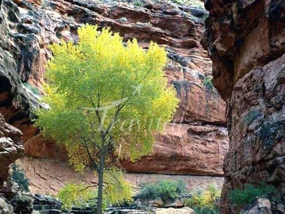 Razianeh Canyon – Dareh Shahr - view 2
