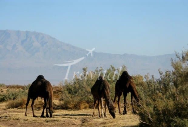 Reza Abad Village – Shahrood - view 2