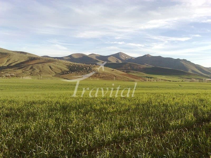 Saqez Plains – Saqez - view 1