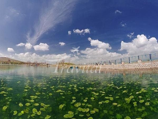 Sarab Niloofar Wetland 