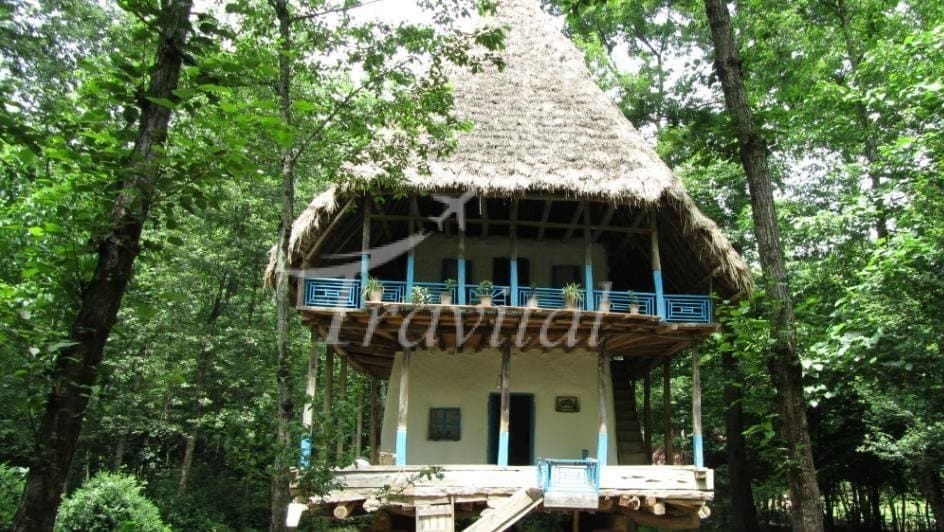 Saravan Forest Park 