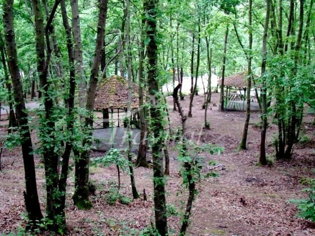 Saravan Forest Park – Rasht - view 3